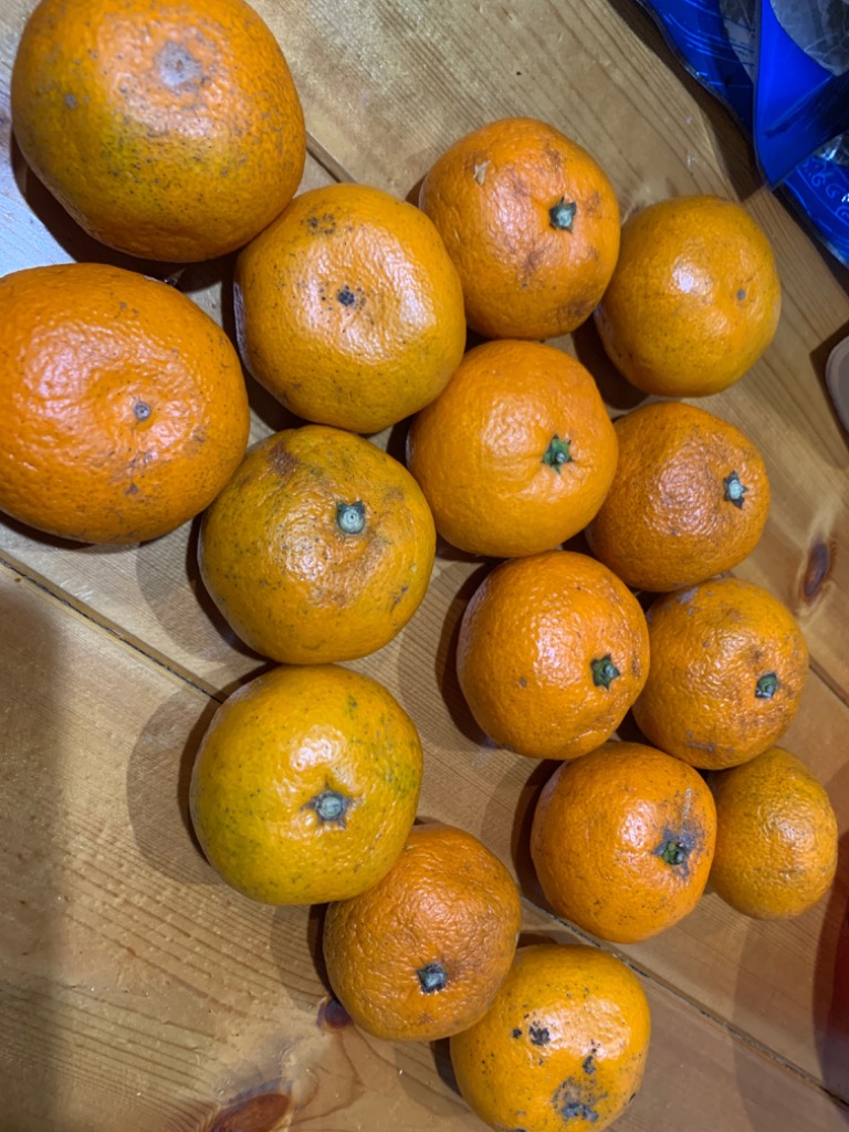 全体のレビュー画像 | 0-0