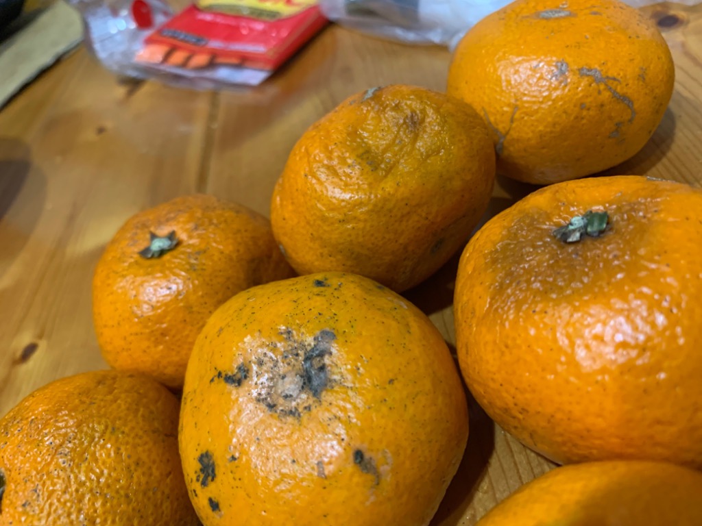 全体のレビュー画像 | 0-2