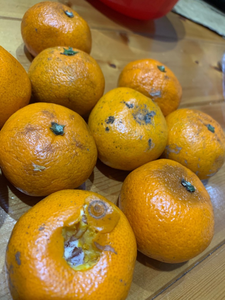 全体のレビュー画像 | 0-3