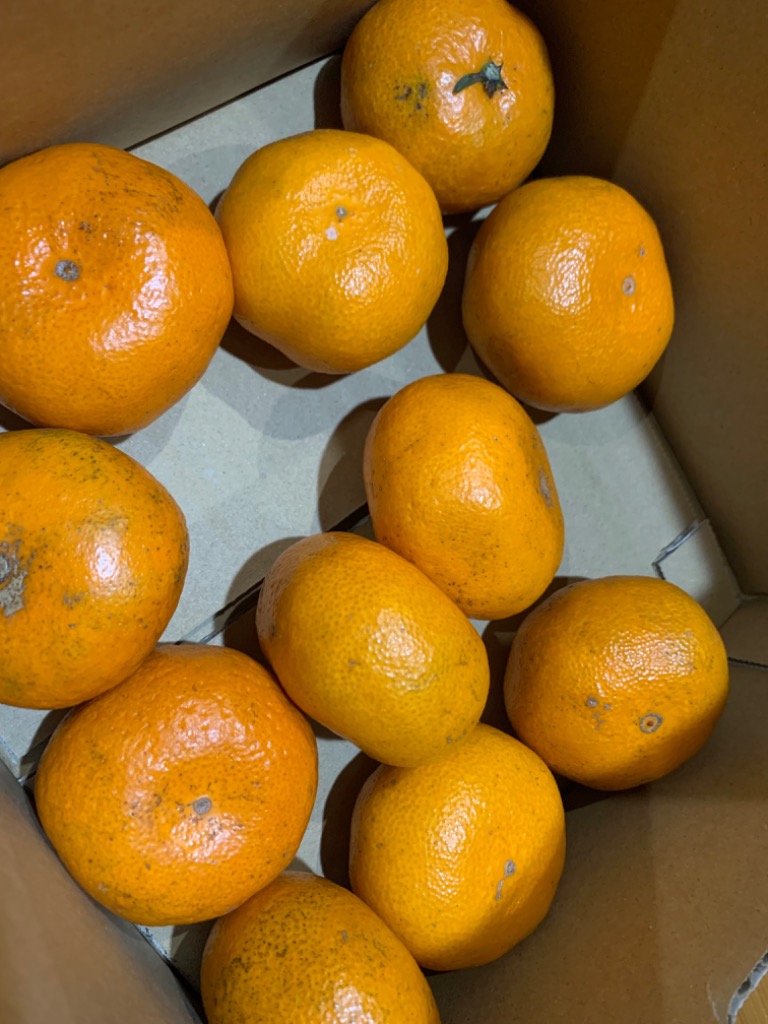 全体のレビュー画像 | 0-1