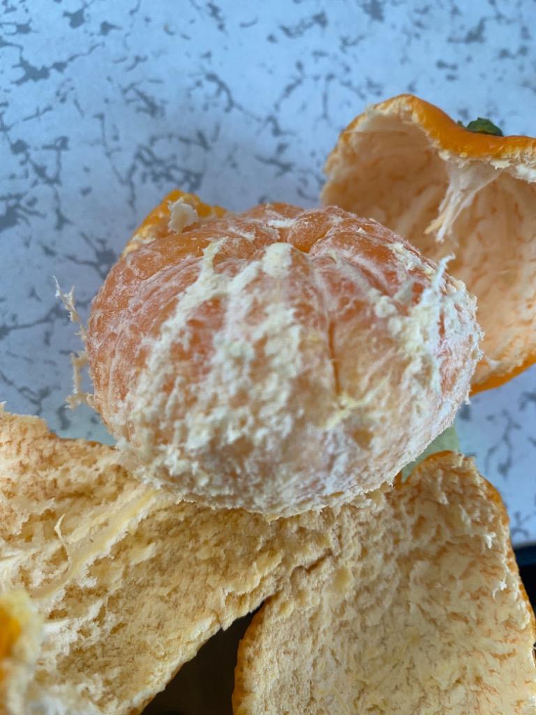 全体のレビュー画像 | 12-2