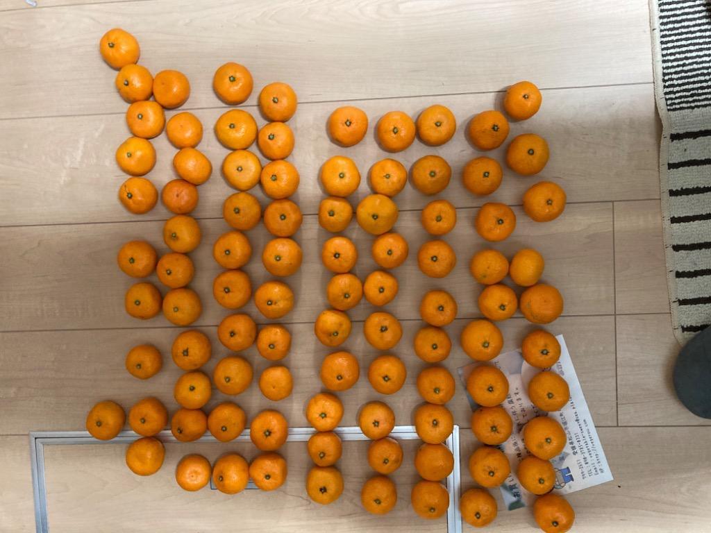 全体のレビュー画像 | 14-0