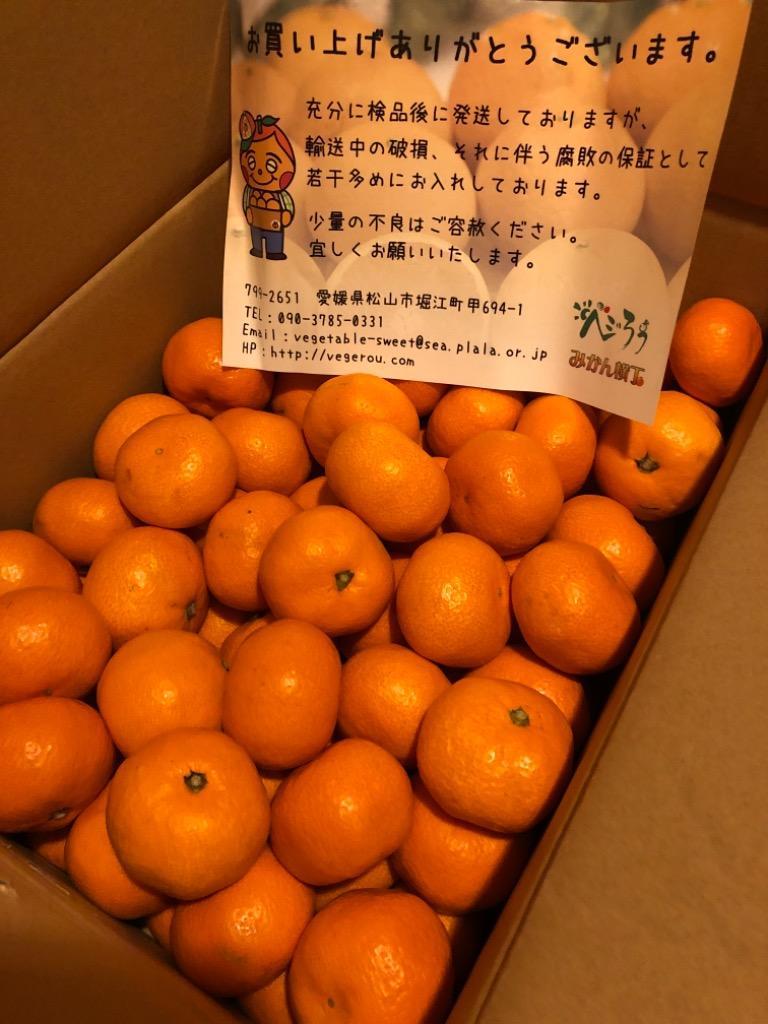 10件目のレビュー画像 | 0