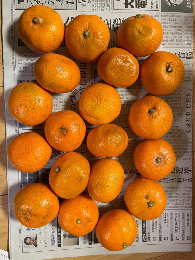 全体のレビュー画像 | 7-0