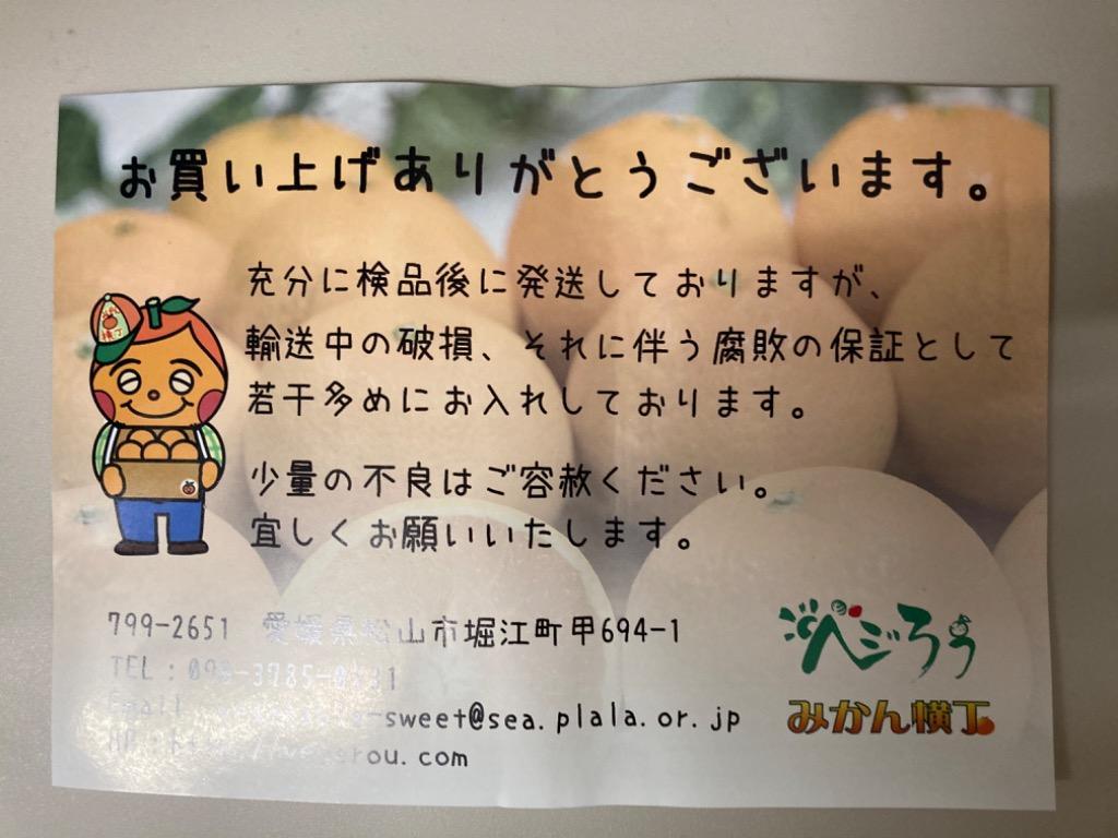 全体のレビュー画像 | 14-1