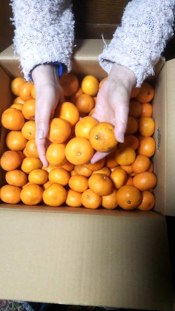 全体のレビュー画像 | 9-0