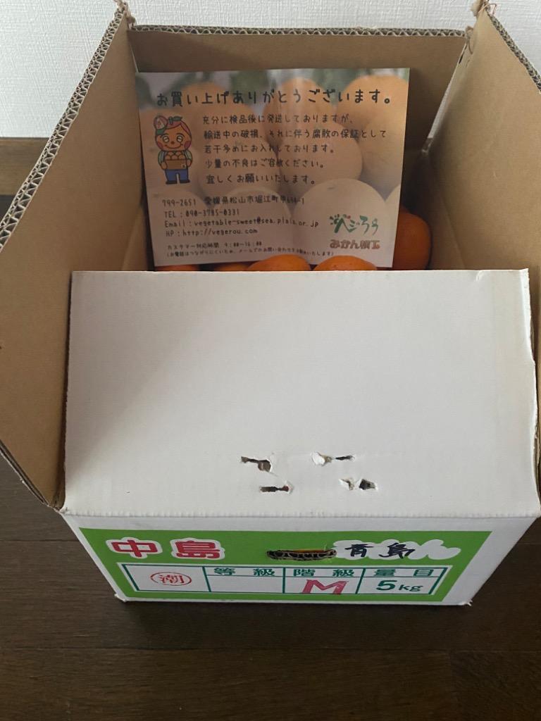 全体のレビュー画像 | 12-0