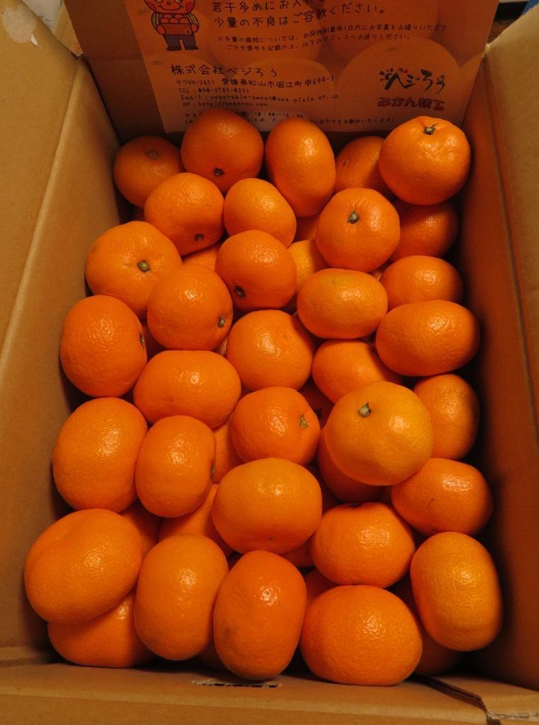 全体のレビュー画像 | 6-0