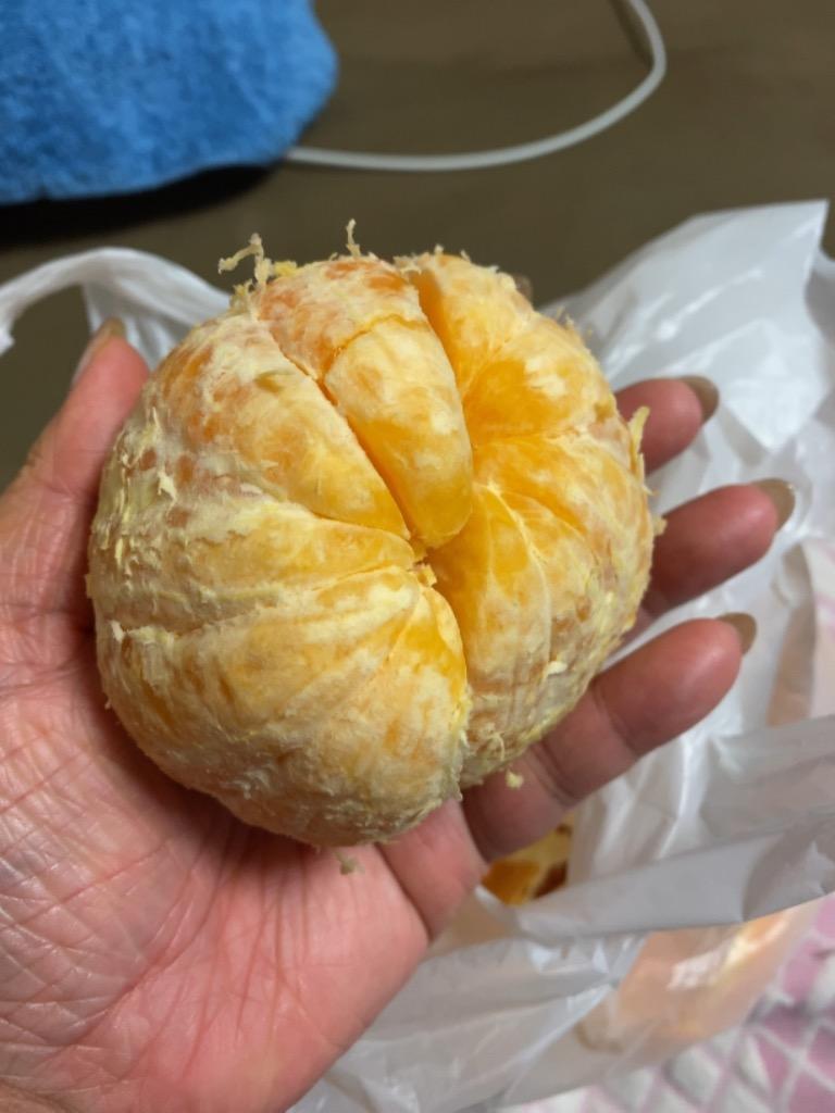 全体のレビュー画像 | 2-0