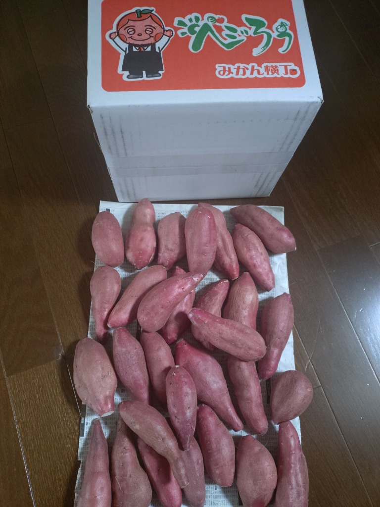 鳴門金時 食べきり Sサイズ 徳島県産 なると金時 金時芋