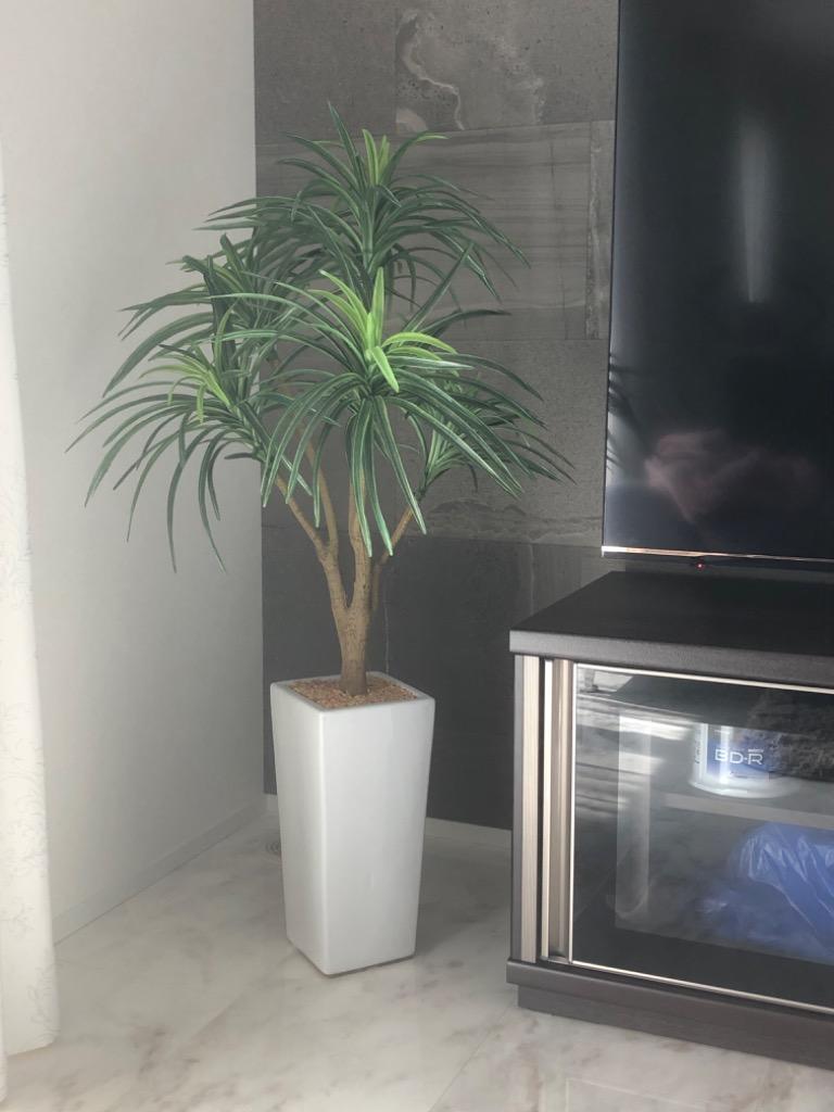 DORIS（ドリス） 人工植物 観葉植物 光触媒 造花 植物 フェイク
