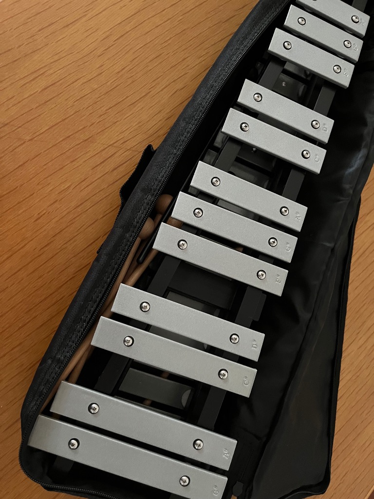 鉄琴 楽器 子供 グロッケン 卓上鉄琴 30音 マレット 4本 収納ケース付