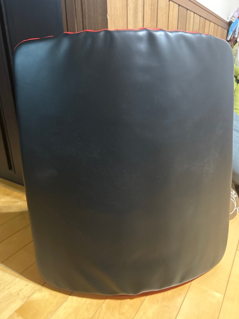 キックミット パンチングミット ミット打ち パンチキックミット