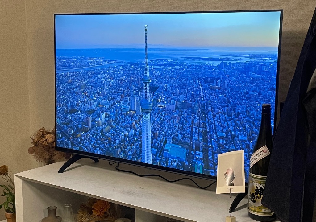 neXXion neXXion FT-NK5060B 液晶テレビ、薄型テレビ - 最安値・価格