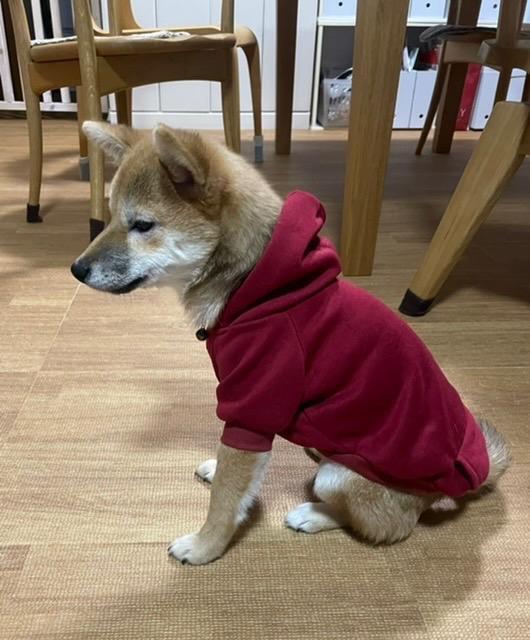 レビュー画像