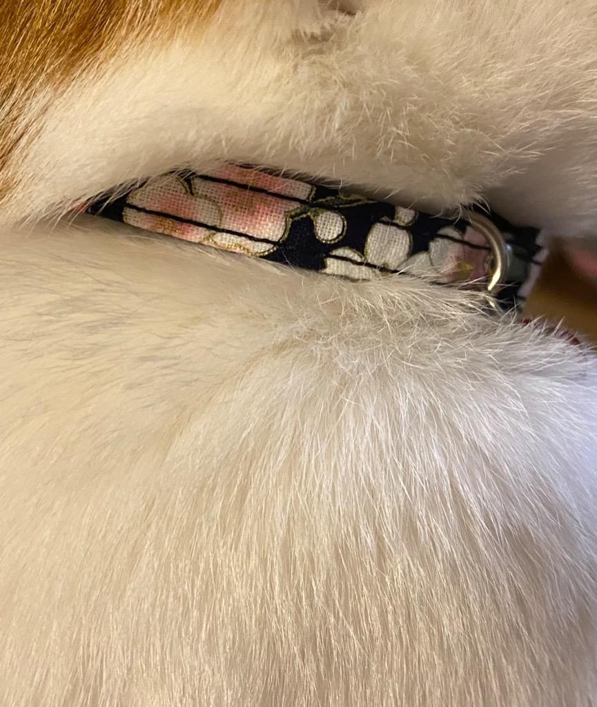 猫ちゃん用首輪☆和花柄 和風 安全バックルタイプ セーフティバックル