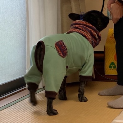 レビュー画像