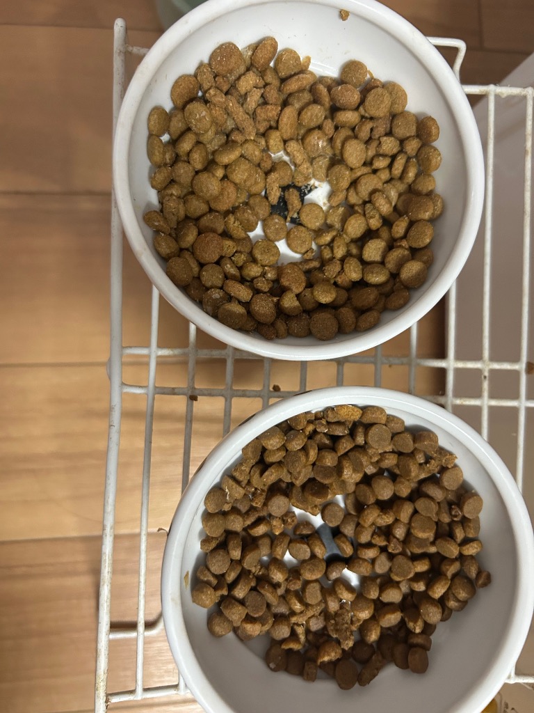 ベッツワンベテリナリー 猫用 高齢ケア（シニアケア） チキン 2kg