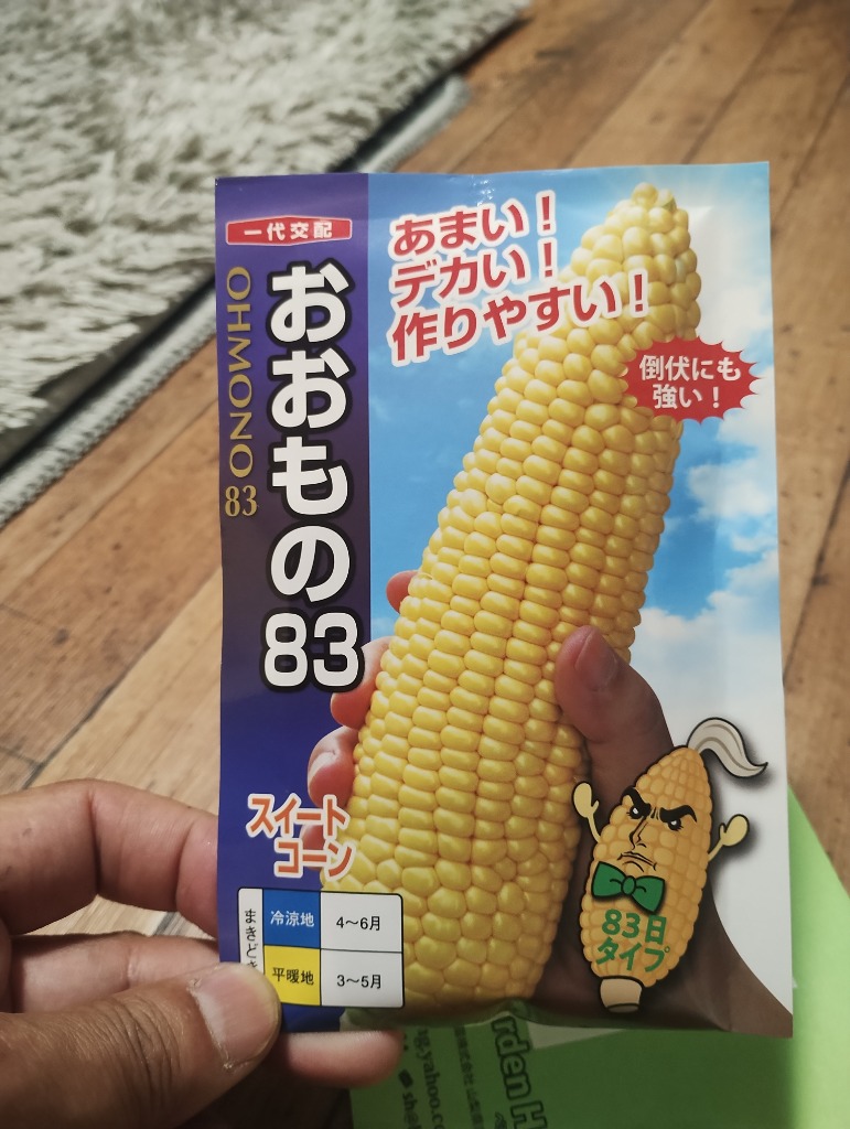 野菜の種/種子 おおもの83・とうもろこし・スイートコーン 200粒