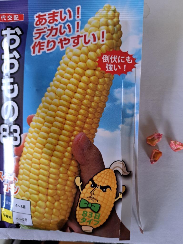 トウモロコシ おおもの83 | 100円野菜種子販売 信州地方野菜の種