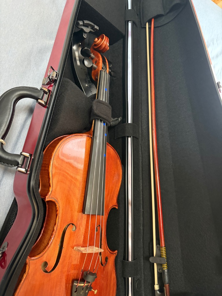 Eastman バイオリンケース Standard ワインレッド 黒フレーム