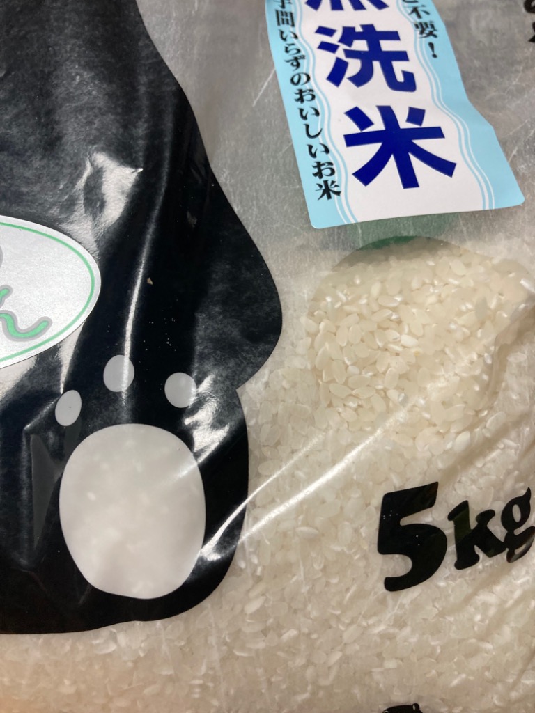 森のくまさん お米 10kg 無洗米 精米 令和7年 熊本のおいしいお米 5kg