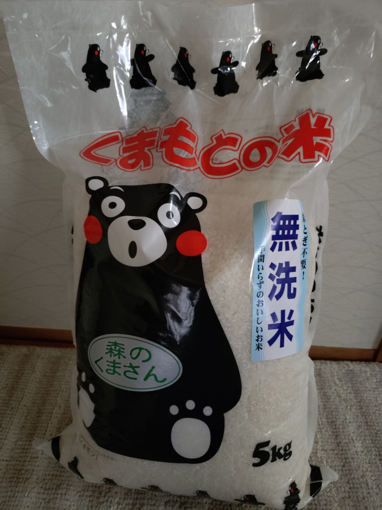 森のくまさん お米 10kg 無洗米 精米 令和7年 熊本のおいしいお米 5kg