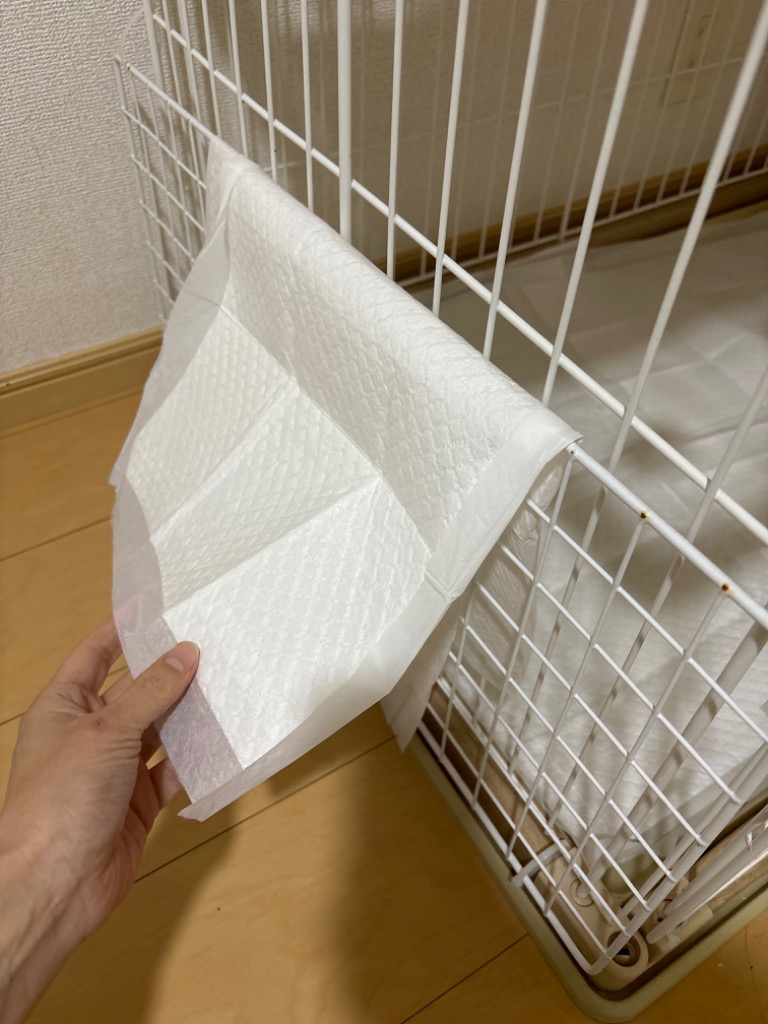 7件目のレビュー画像 | 1