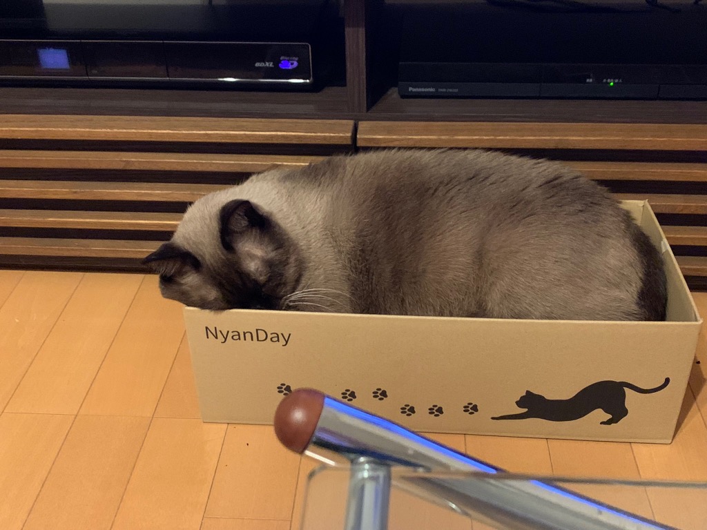 レビュー画像