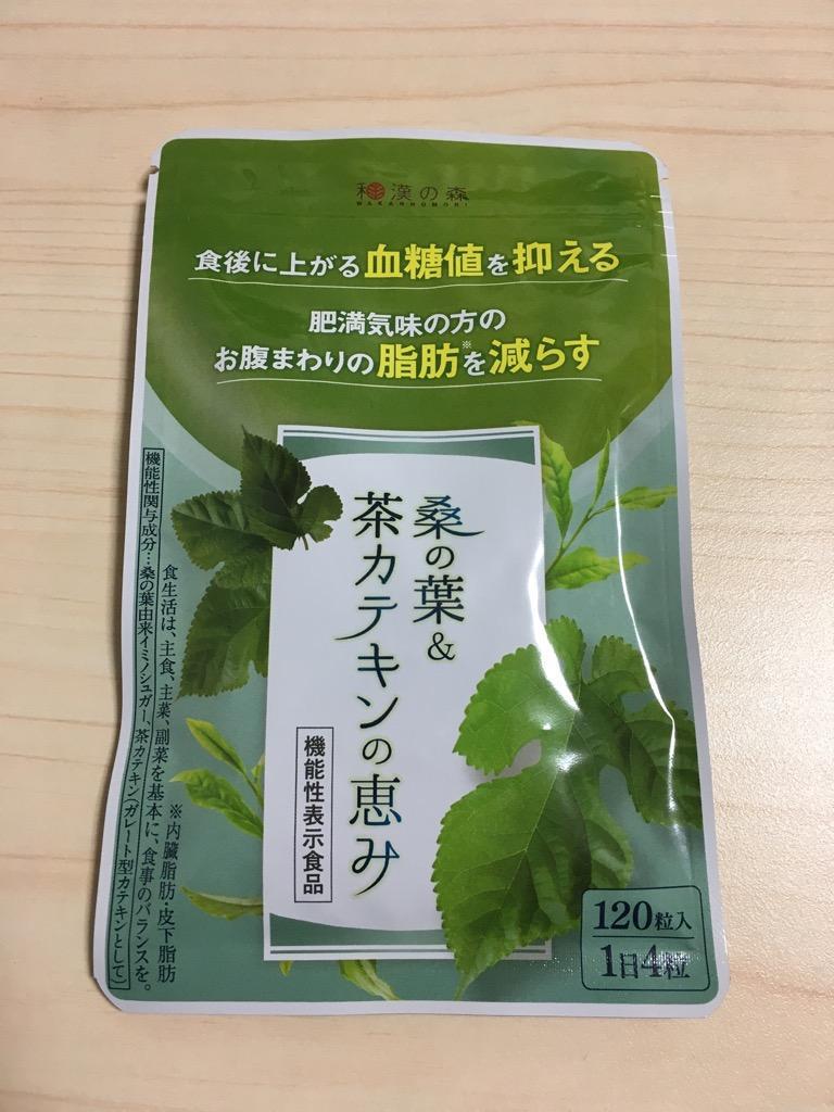 ダイエット サプリ サプリメント 脂肪 燃焼 血糖値 下げる 漢方 3袋 120粒 桑の葉 茶カテキン 減らす 代謝 内臓脂肪 皮下脂肪 健康 お腹の 体重  痩せる 和漢の森 :kuwa-03:和漢の森 - 通販 - Yahoo!ショッピング