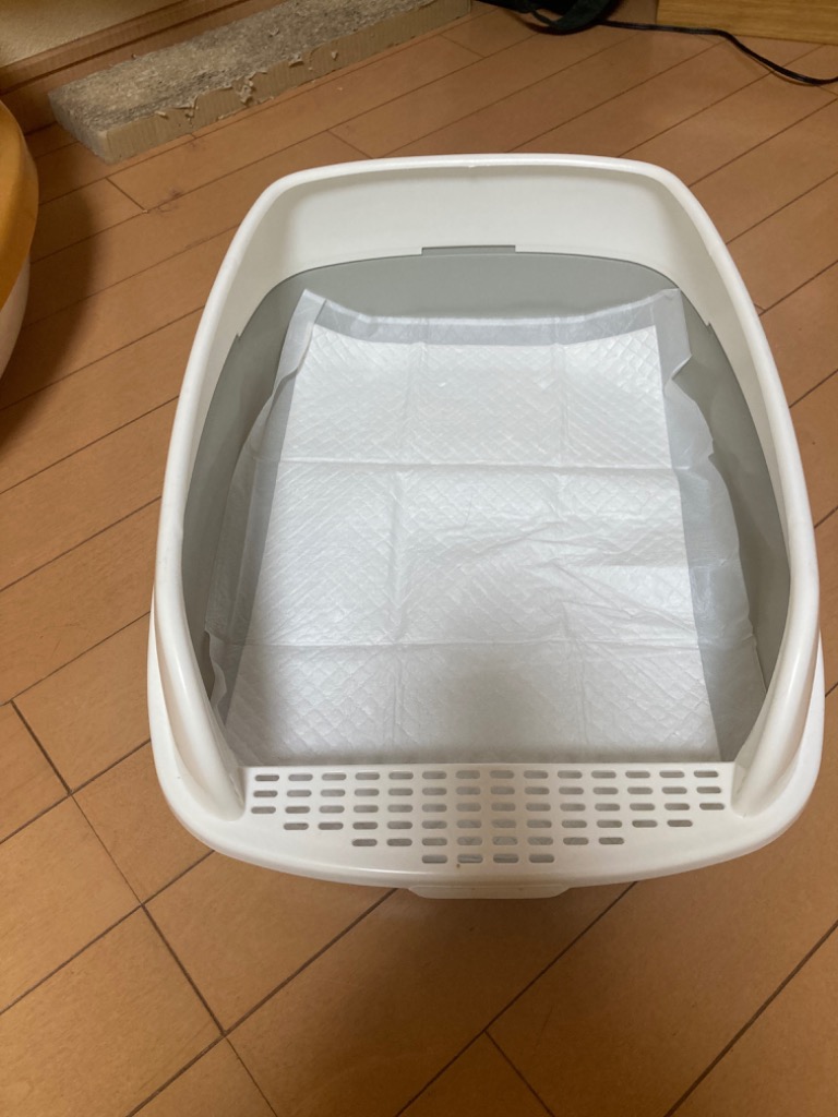 レビュー画像