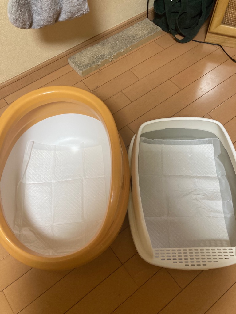 レビュー画像