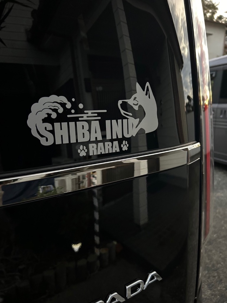 ▶︎import/黒いたぬきさまノベルティステッカー DL_6WQuUQAAvtiW.jpg