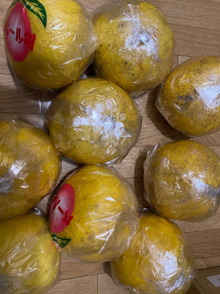 パール柑 大橘 約5kg 熊本県産 贈答規格 袋掛け品 個人農家産 ギフトに