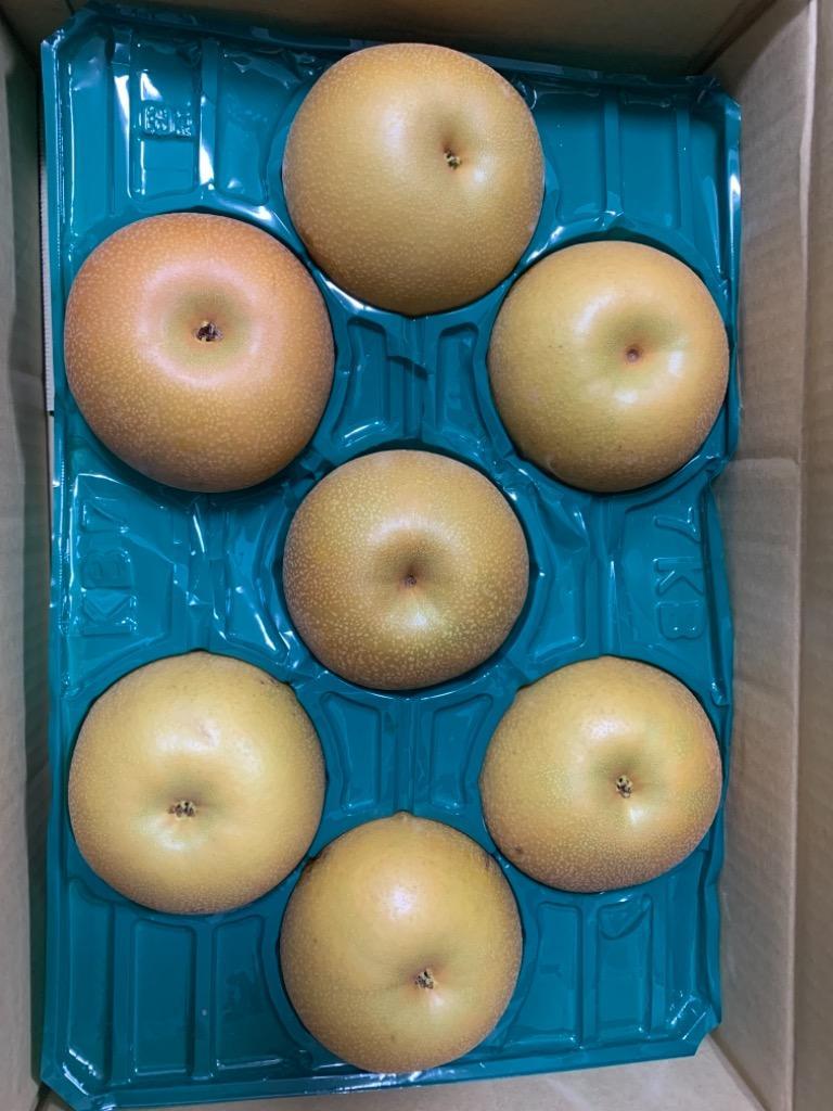 梨 千葉 幸水・豊水・あきづき・新高 5kg 7〜14玉 大玉限定 訳あり品 なしの出荷量全国一位の千葉県産  白井・市川・船橋を始めとした厳選産地の新鮮なナシ :457564-y:産地から玄関へ 通販 