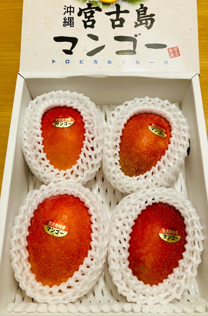 宮古島産摘果マンゴー　14キロ 宮古島産摘果マンゴー 14キロ