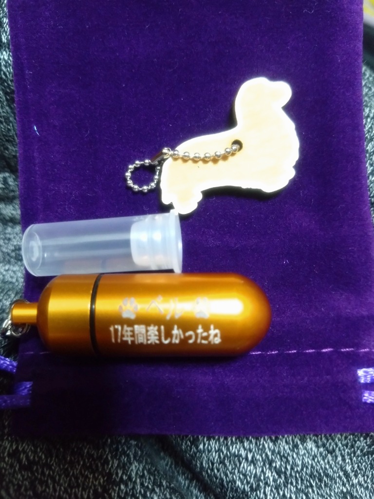 レビュー画像