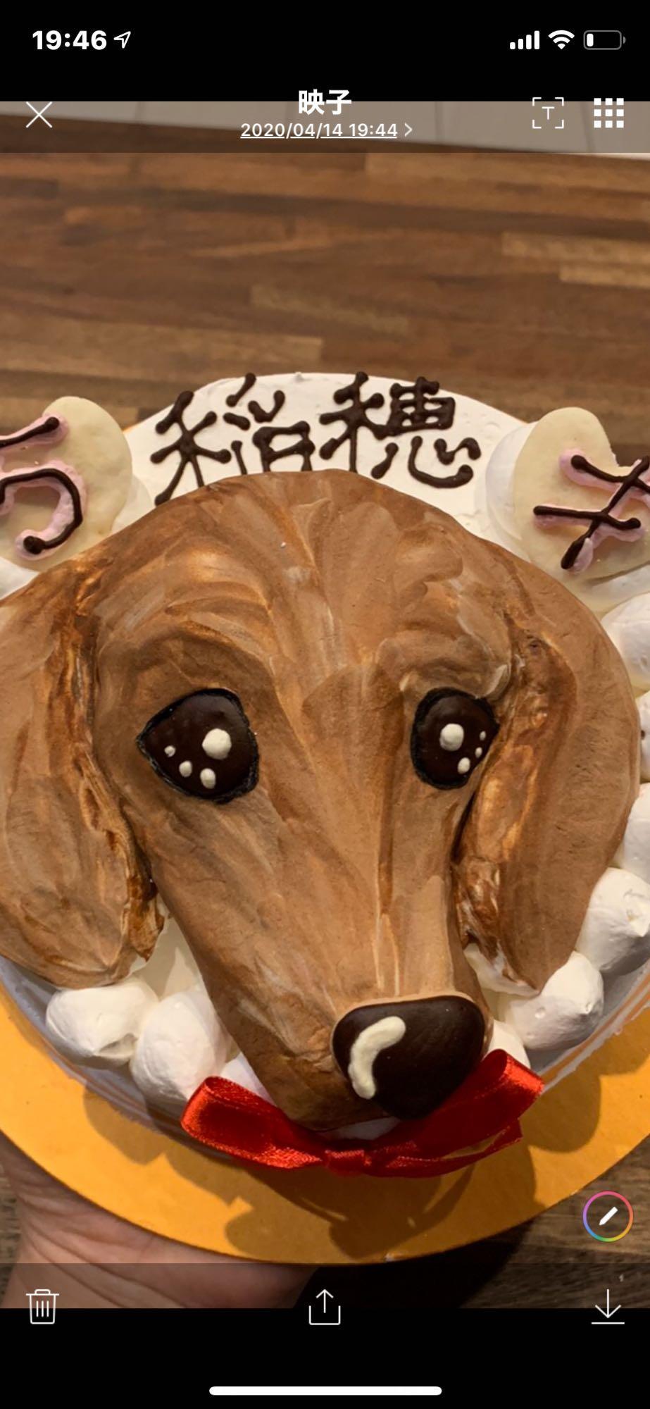 全体のレビュー画像 | 11-0