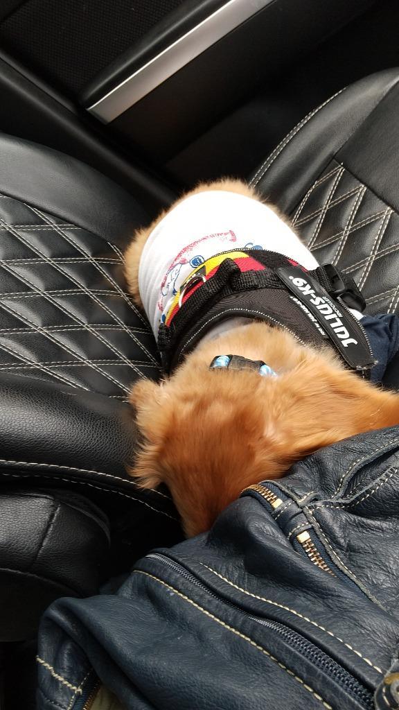 9件目のレビュー画像 | 0