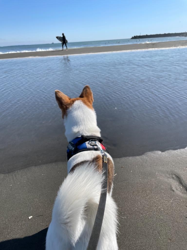 6件目のレビュー画像 | 0