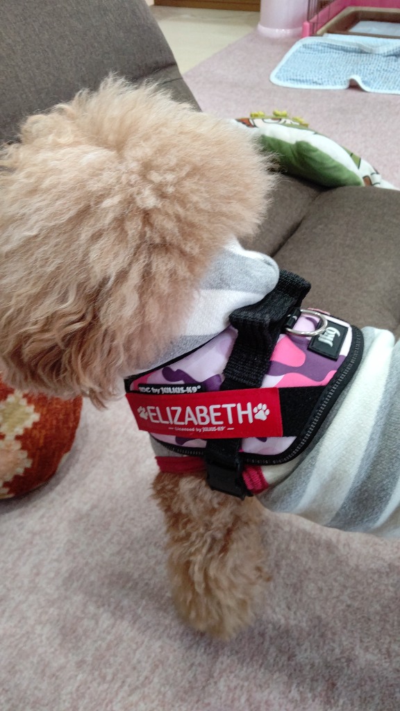 全体のレビュー画像 | 2-0