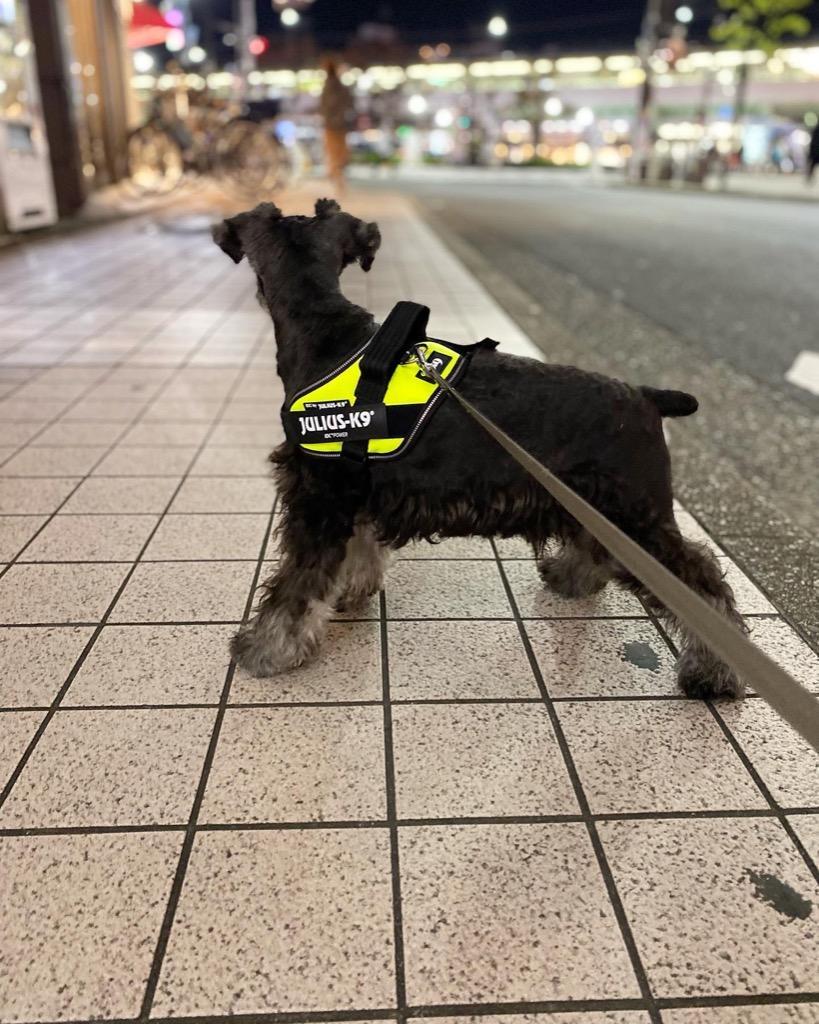 全体のレビュー画像 | 9-0