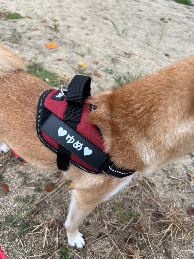 全体のレビュー画像 | 0-1