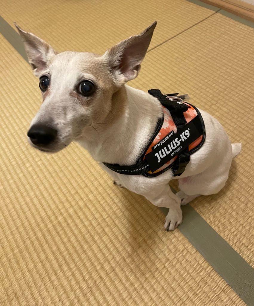 全体のレビュー画像 | 8-0