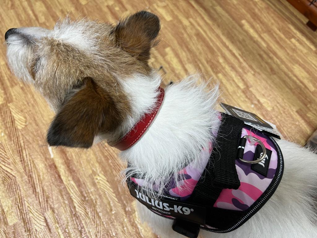 全体のレビュー画像 | 3-1