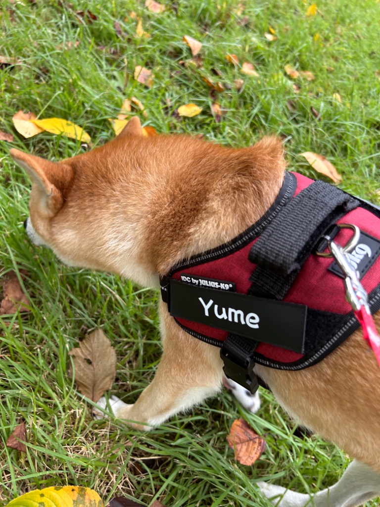 全体のレビュー画像 | 0-0