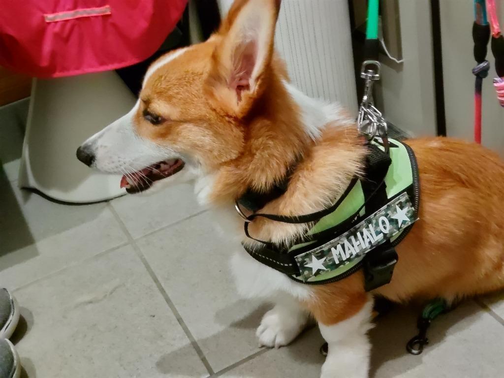 全体のレビュー画像 | 6-0