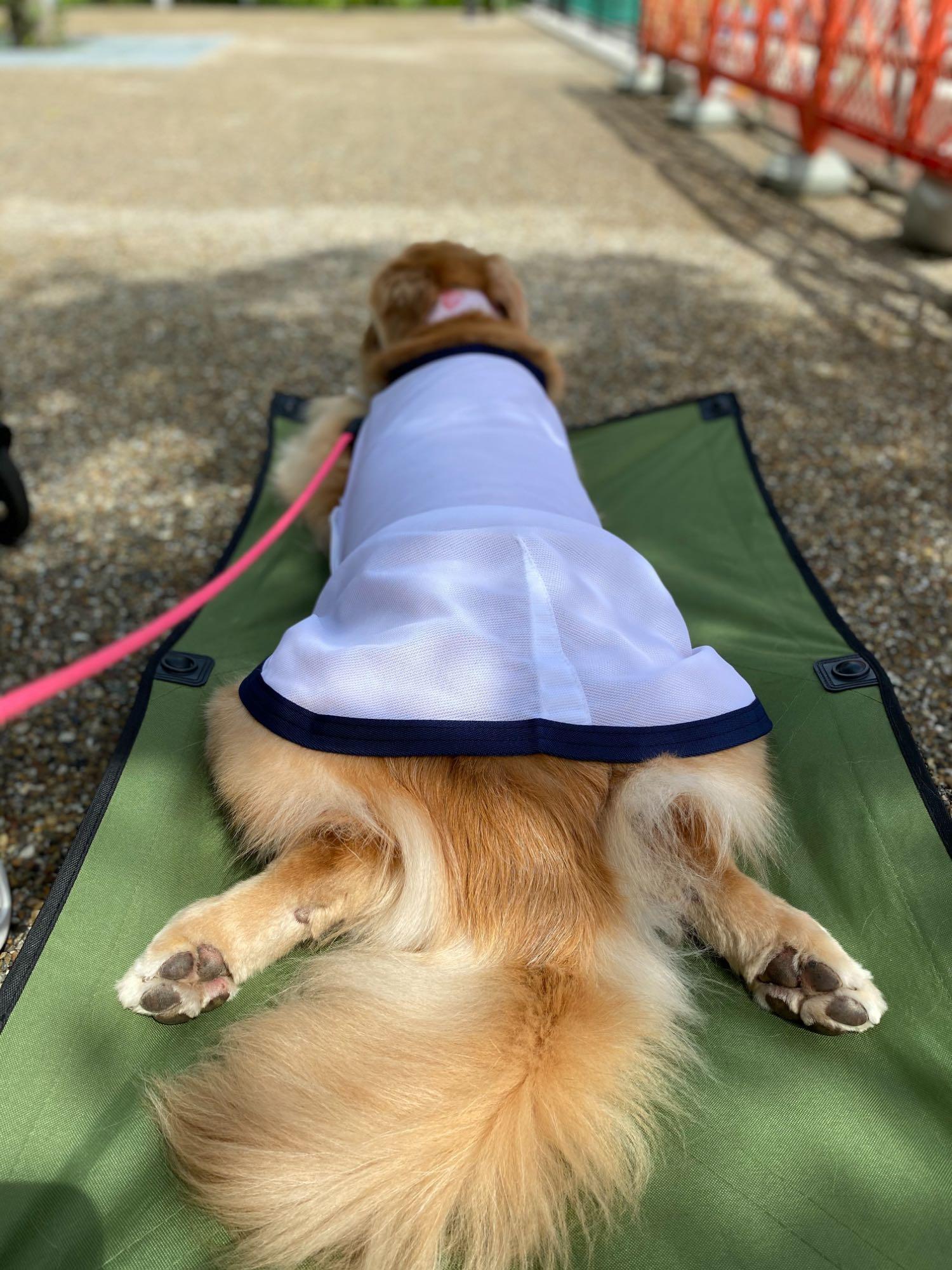 1件目のレビュー画像 | 0