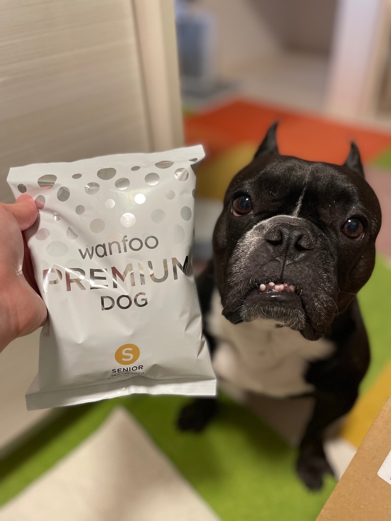 wanfoo プレミアムドッグフード シニア30袋 wanfoo ドッグフード プレミアムドッグ (ウサギ肉＆鶏肉タイプ