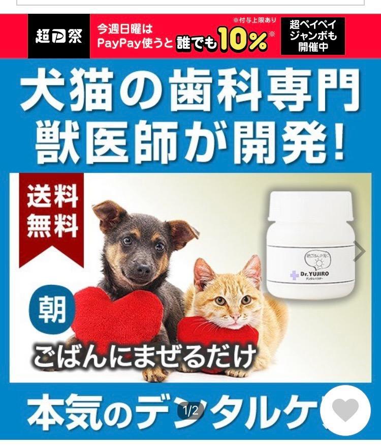 犬猫のデンタルケア Dr.YUJIRO デンタルパウダー（朝用）※約3カ月分 3000頭以上の犬の歯石除去 歯石取りを行ってきた獣医師が開発  :00003:わんこの歯医者さん 通販事業部 - 通販 - Yahoo!ショッピング